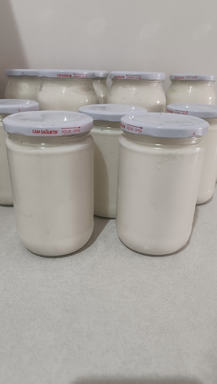 Tuzlu yoğurt (700 gr)