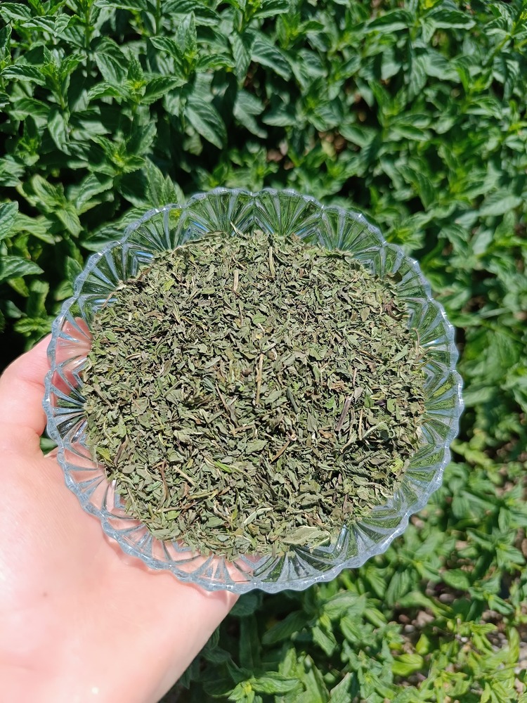 Kuru nane (50 gr)