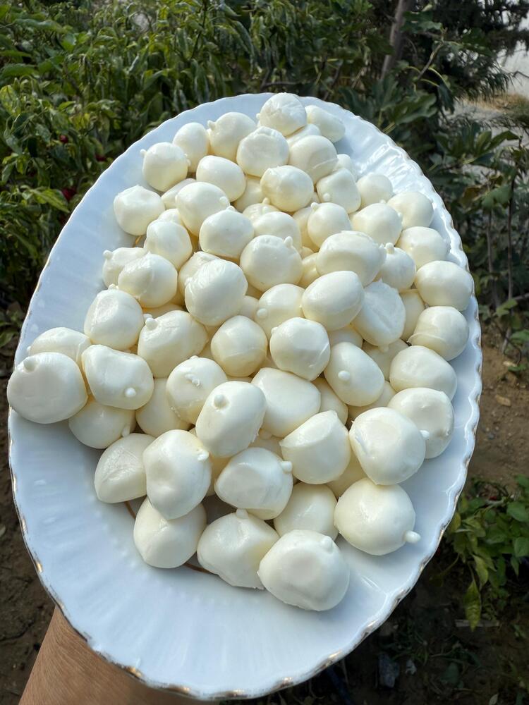 Misket peyniri(500 gr)
