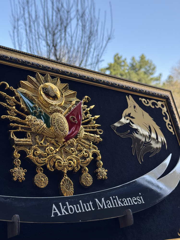 Ay Yıldızlı,Kurt Motifli, Devler Armalı Tablolu Zülfikar Kılıç