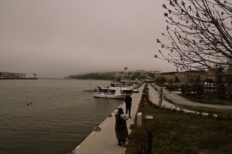 The Foggy Seashore