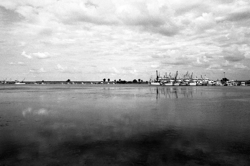 The Fishing Port