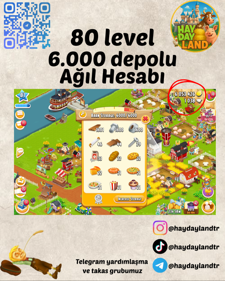 80+ LEVEL 6000 AĞIL MALZEMESİ DOLU HESAP