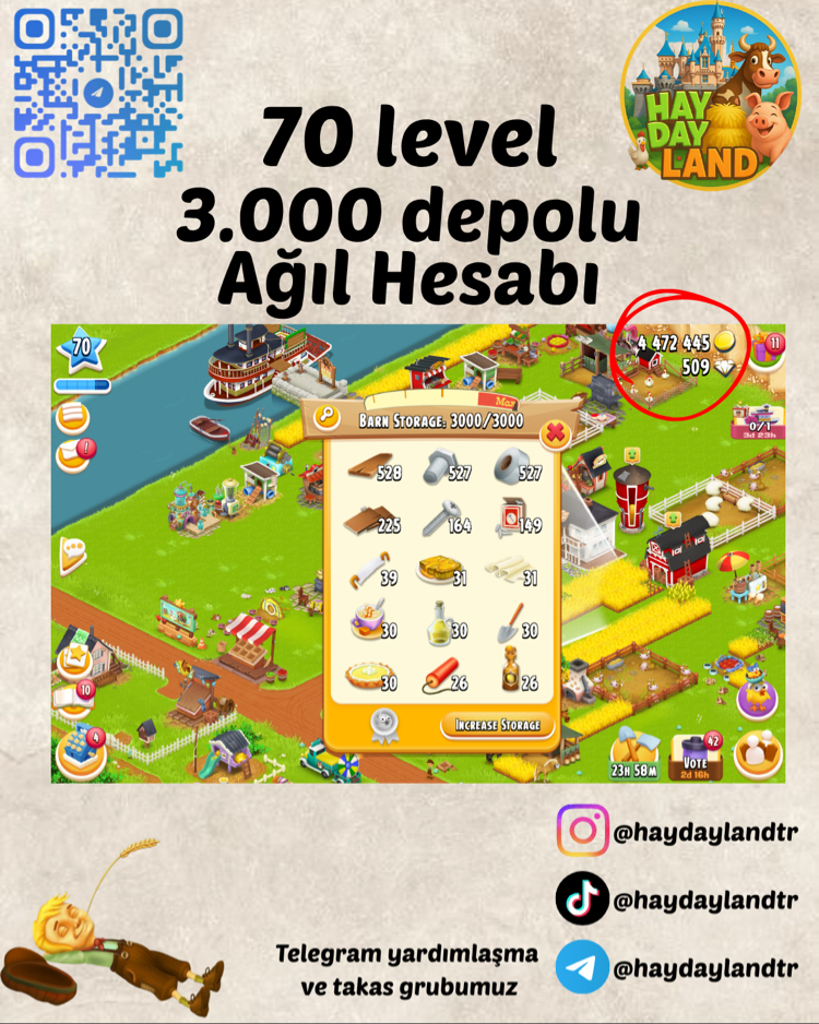 70+ LEVEL 3000 AĞIL MALZEMESİ DOLU HESAP