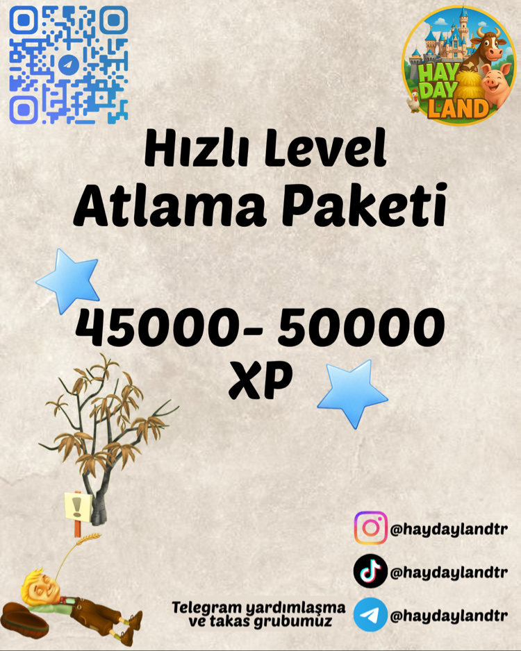 LEVEL ATLAMA PAKETİ (XP)