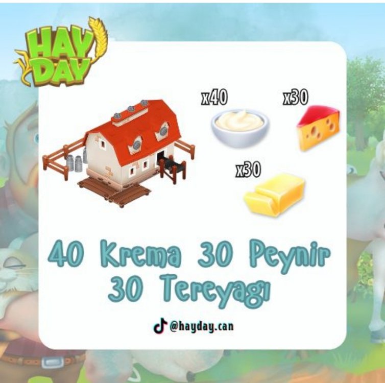 100 mandıra