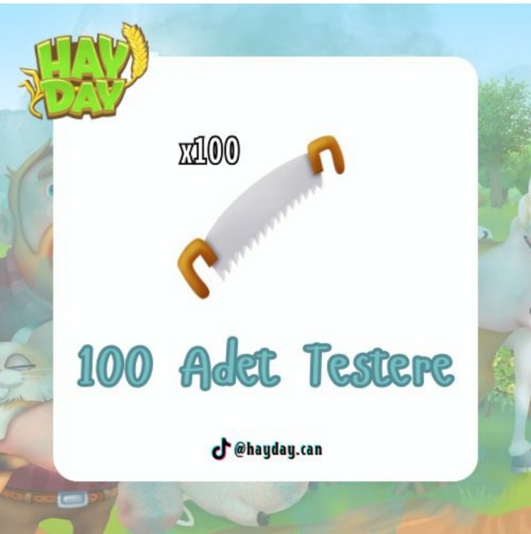 100 testere