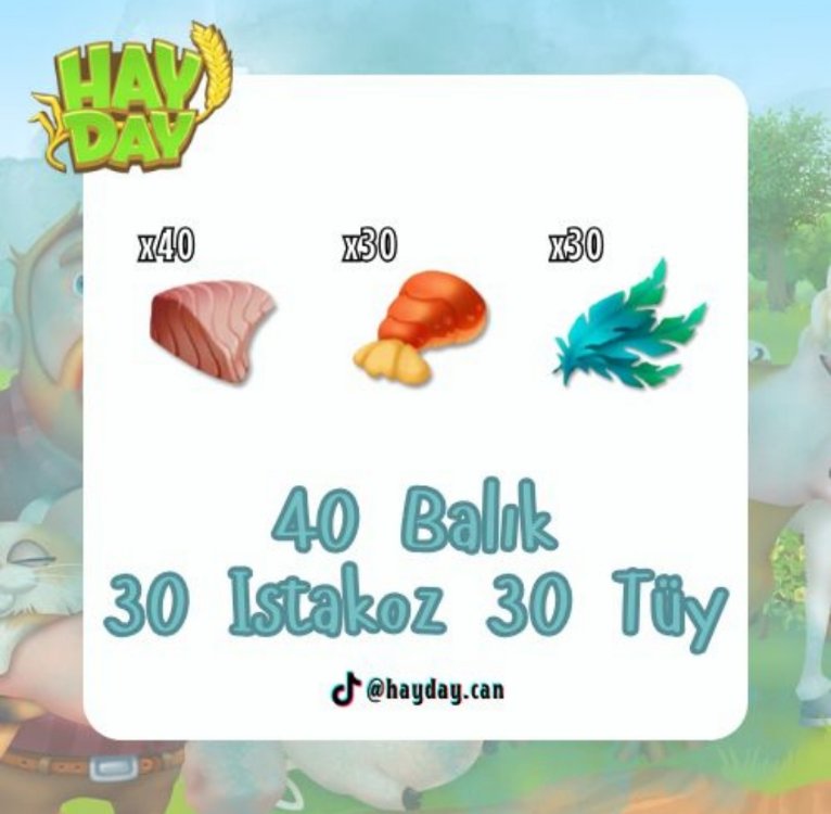 100 balık ıstakoz tüy