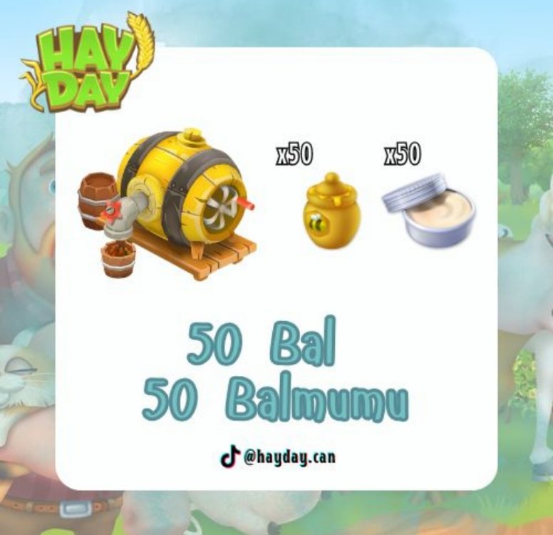 50 bal 50 balmumu