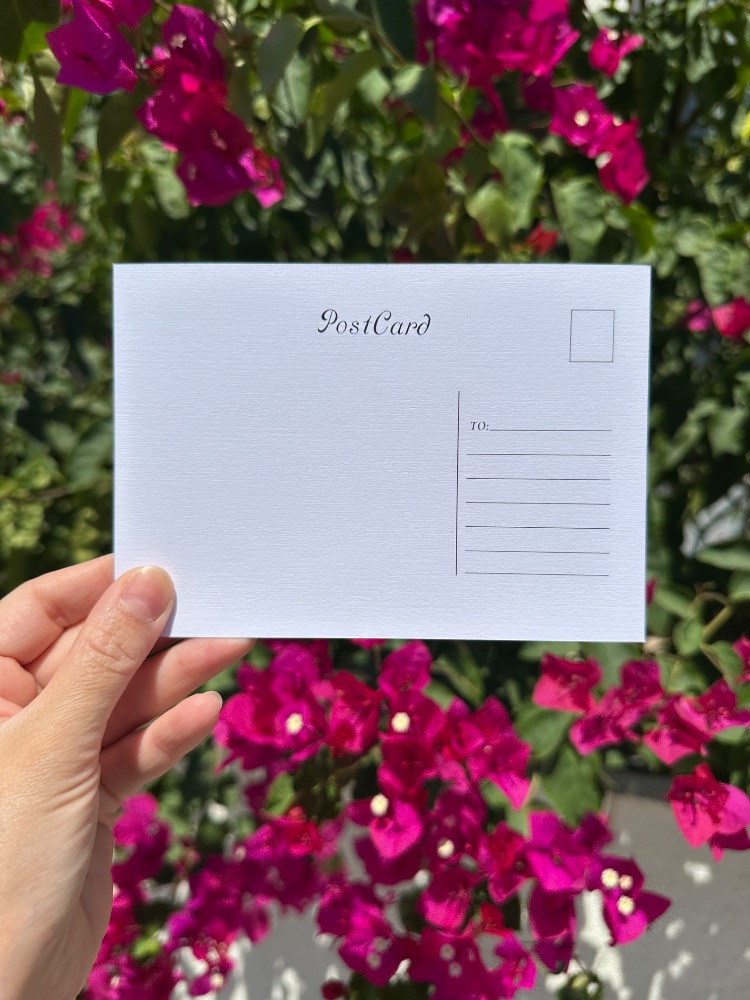 “Ayva Ağacı” İllüstrasyon Kartpostal