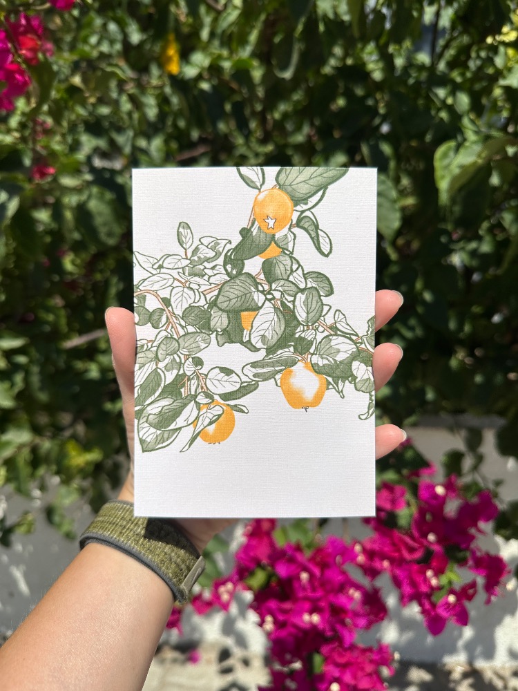 “Ayva Ağacı” İllüstrasyon Kartpostal