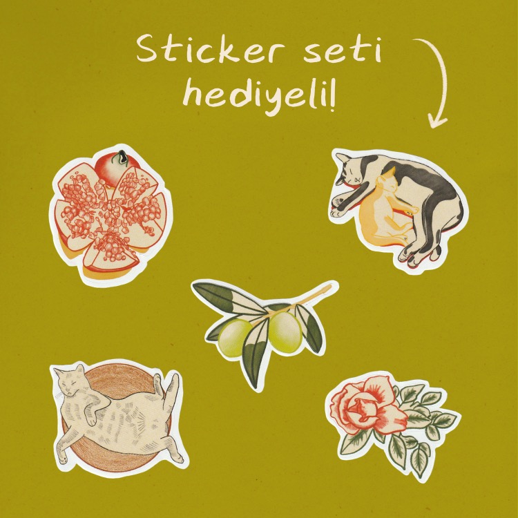 Kartpostal ✦ Kediler ✦ Sticker Seti Hediyeli