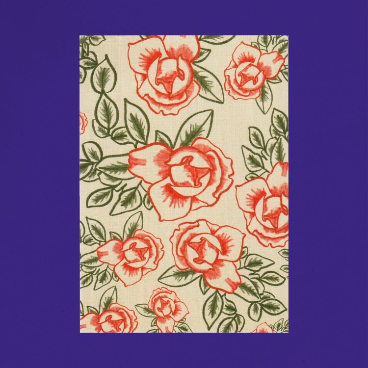 Kartpostal ✦ Güller ✦ Sticker Seti Hediyeli