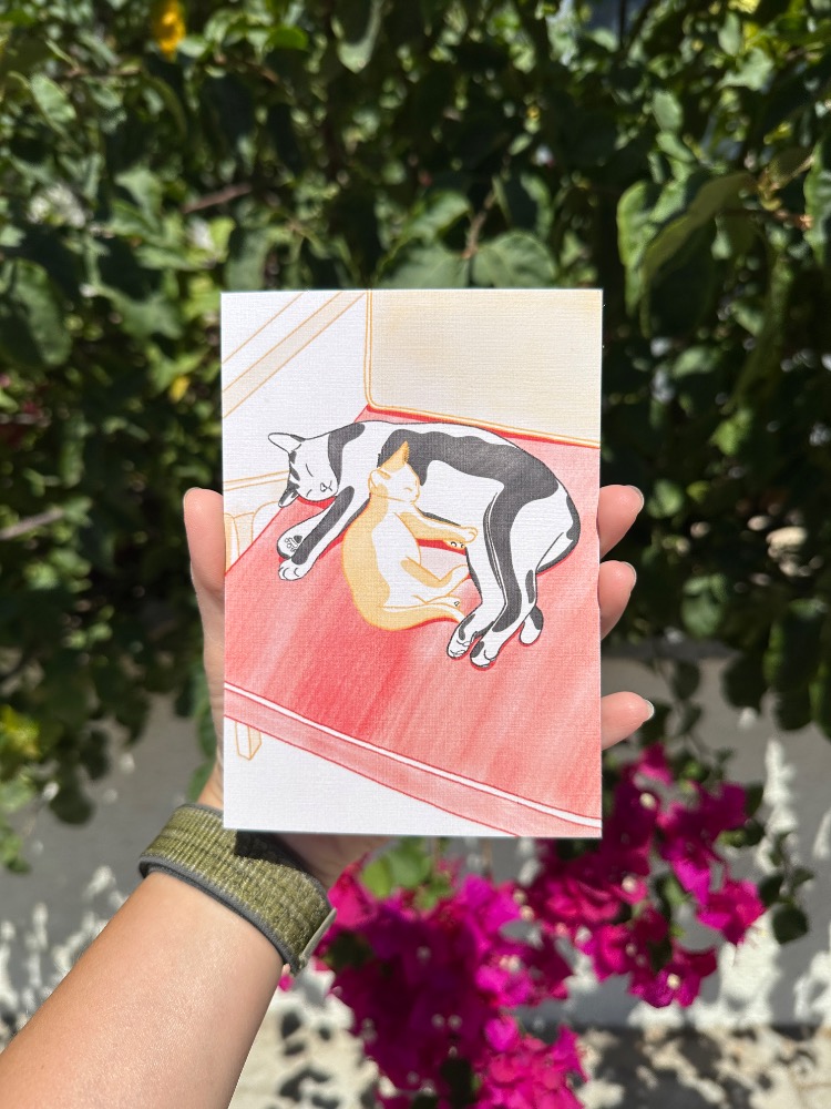 “Kediler” İllüstrasyon Kartpostal