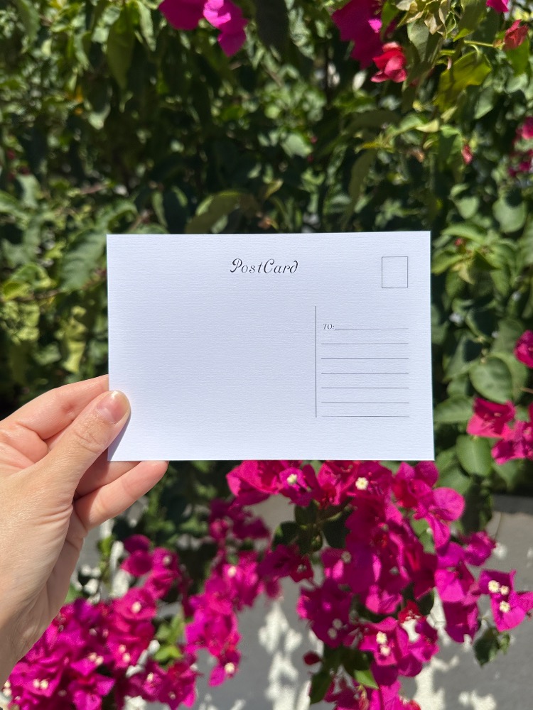 “Nar” İllüstrasyon Kartpostal