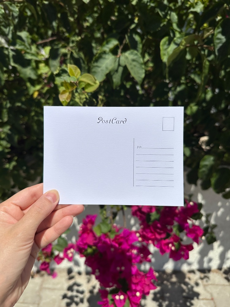 “Kediler” İllüstrasyon Kartpostal