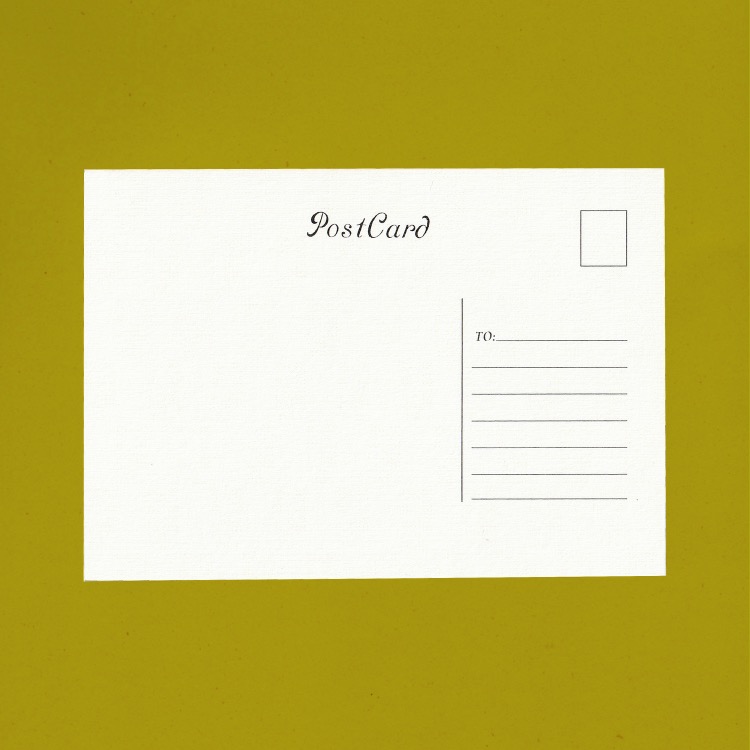 Kartpostal ✦ Kediler ✦ Sticker Seti Hediyeli