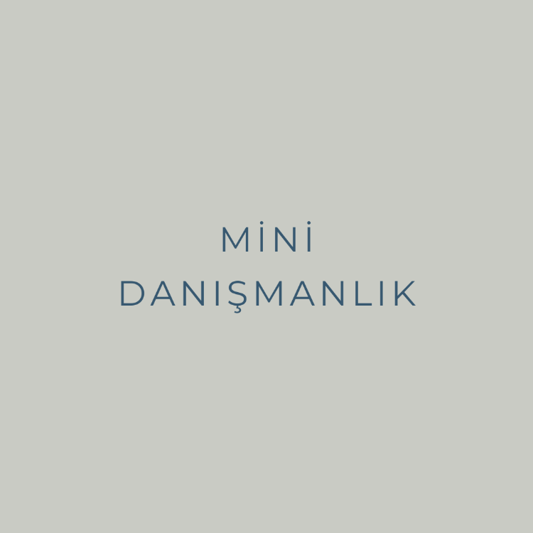 Mini Danışmanlık