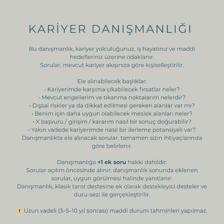 Tek Konu Danışmanlığı