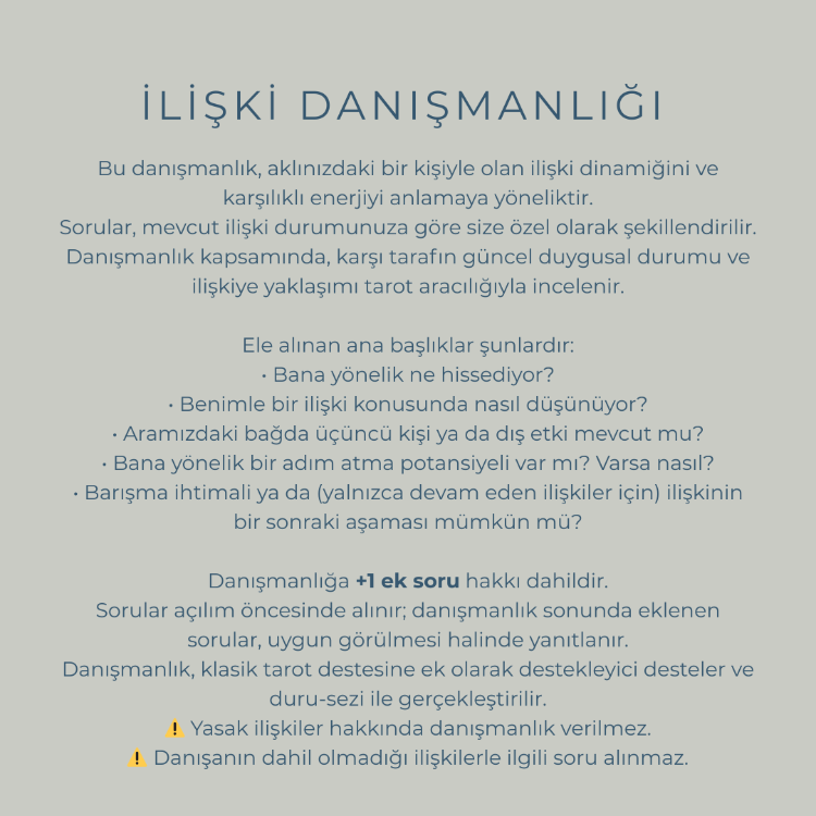 Tek Konu Danışmanlığı