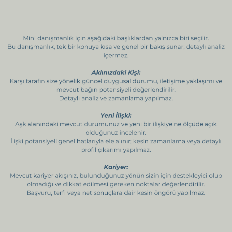 Mini Danışmanlık