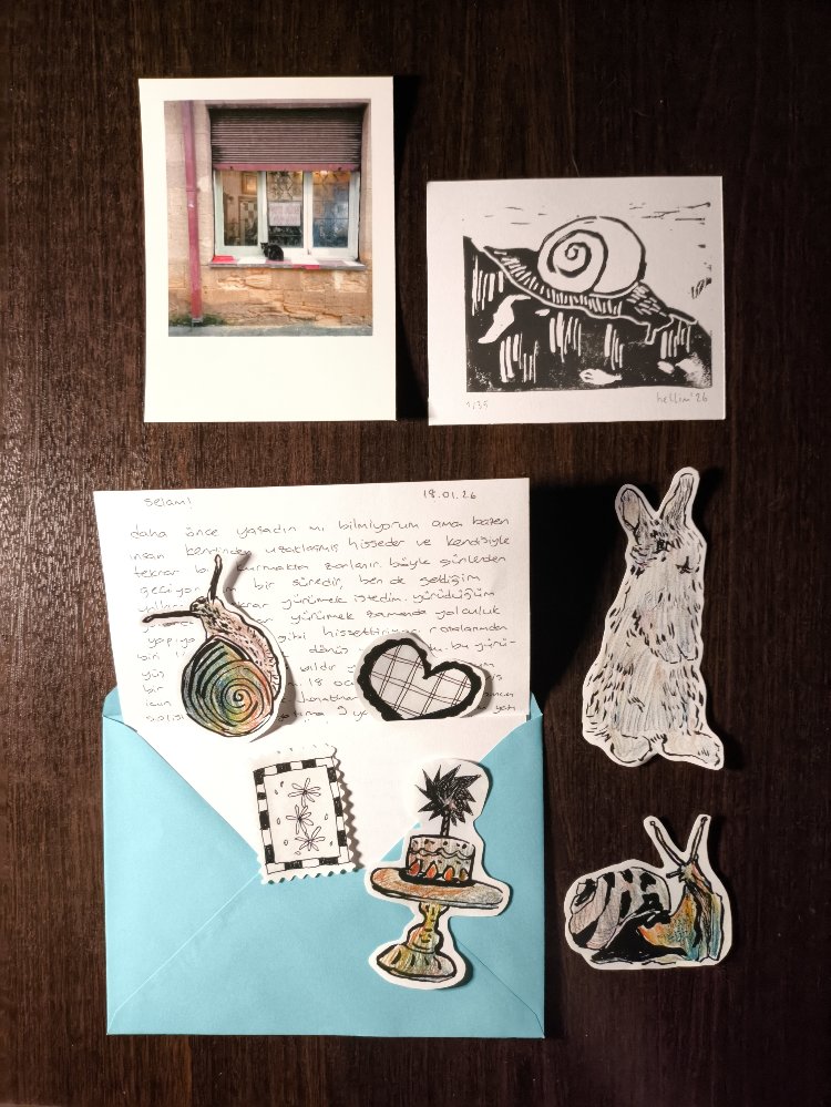 ocak snailmail