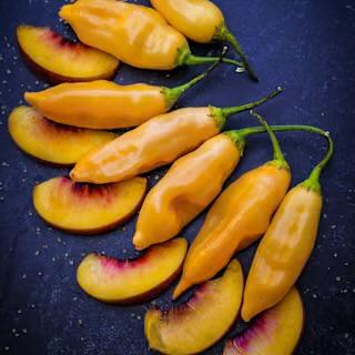 Sugar Rush Peach Acı Biber Fidesi 3 Adet