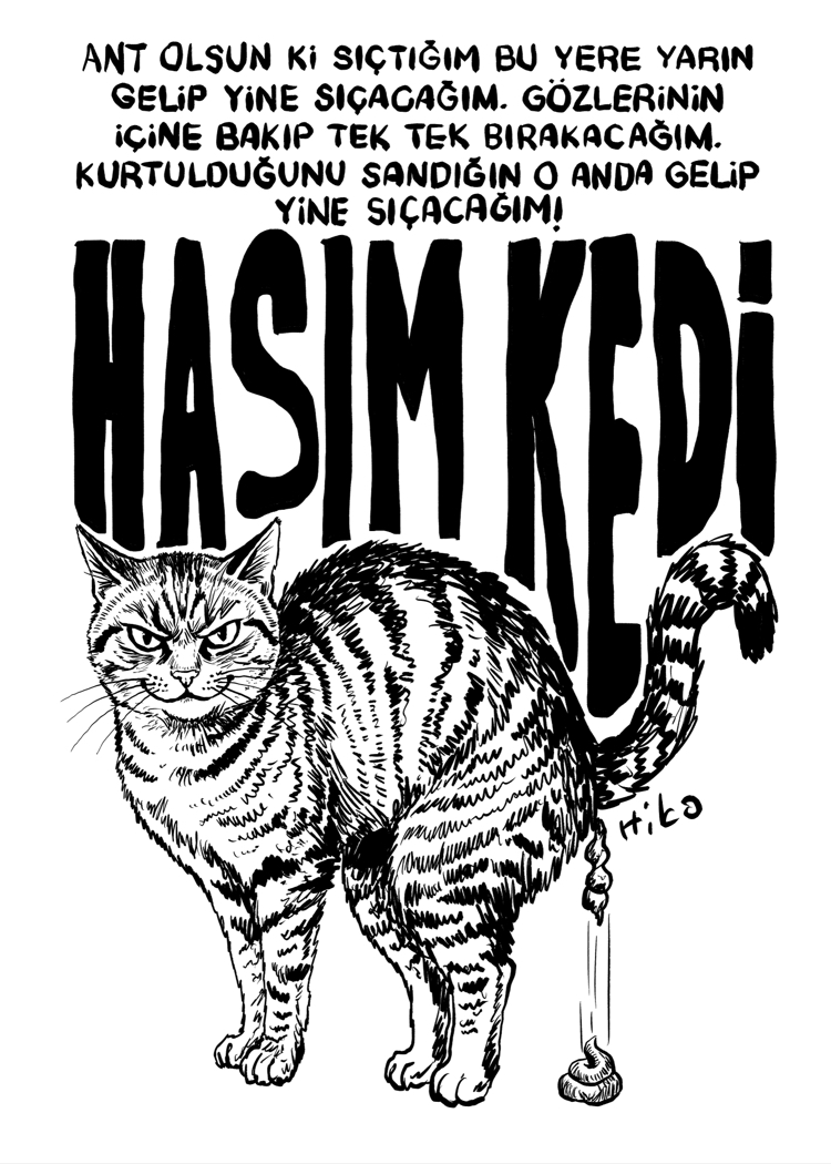 Hasım Kedi