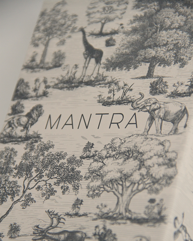 Mantra Rehberlik Kartları