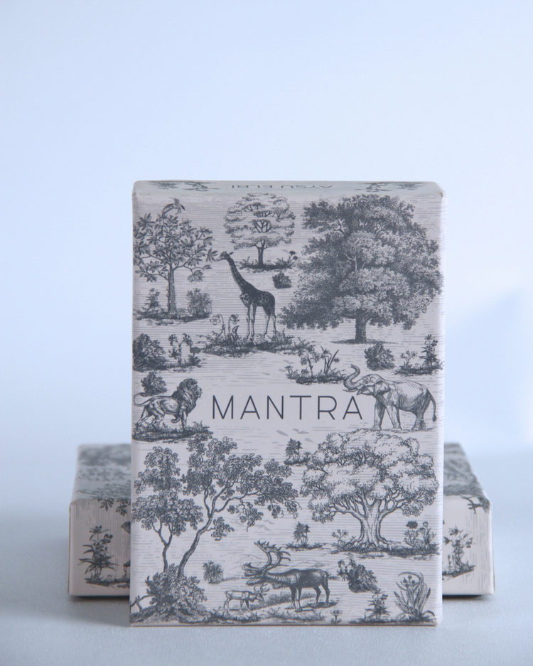 Mantra Rehberlik Kartları