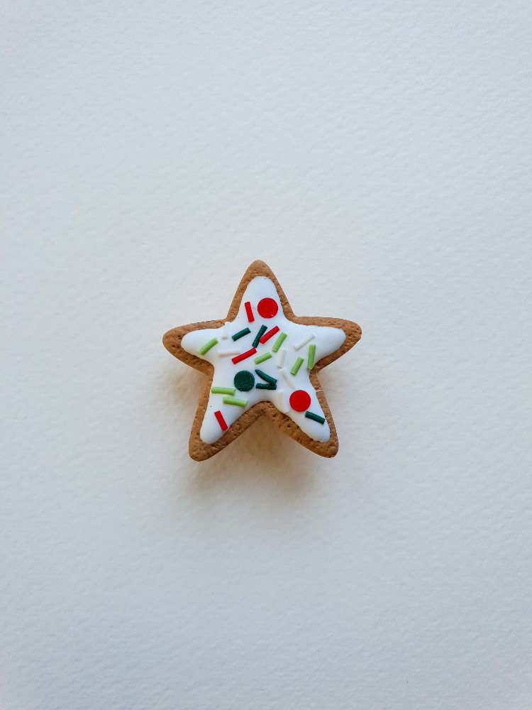 Sprinkled Star Kurabiye Broş