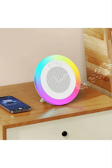 BT SPEAKER 