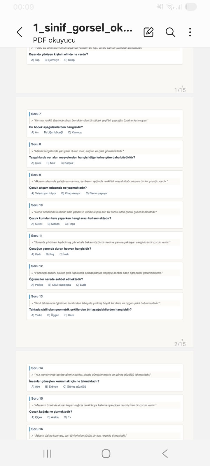 1.Sınıf Betimleyici Paragraf-Görsel Okuma Testi