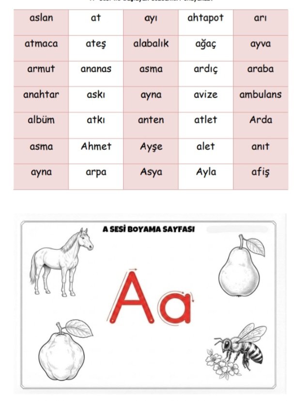 HIZLI OKUMA ALIŞTIRMA KİTABI