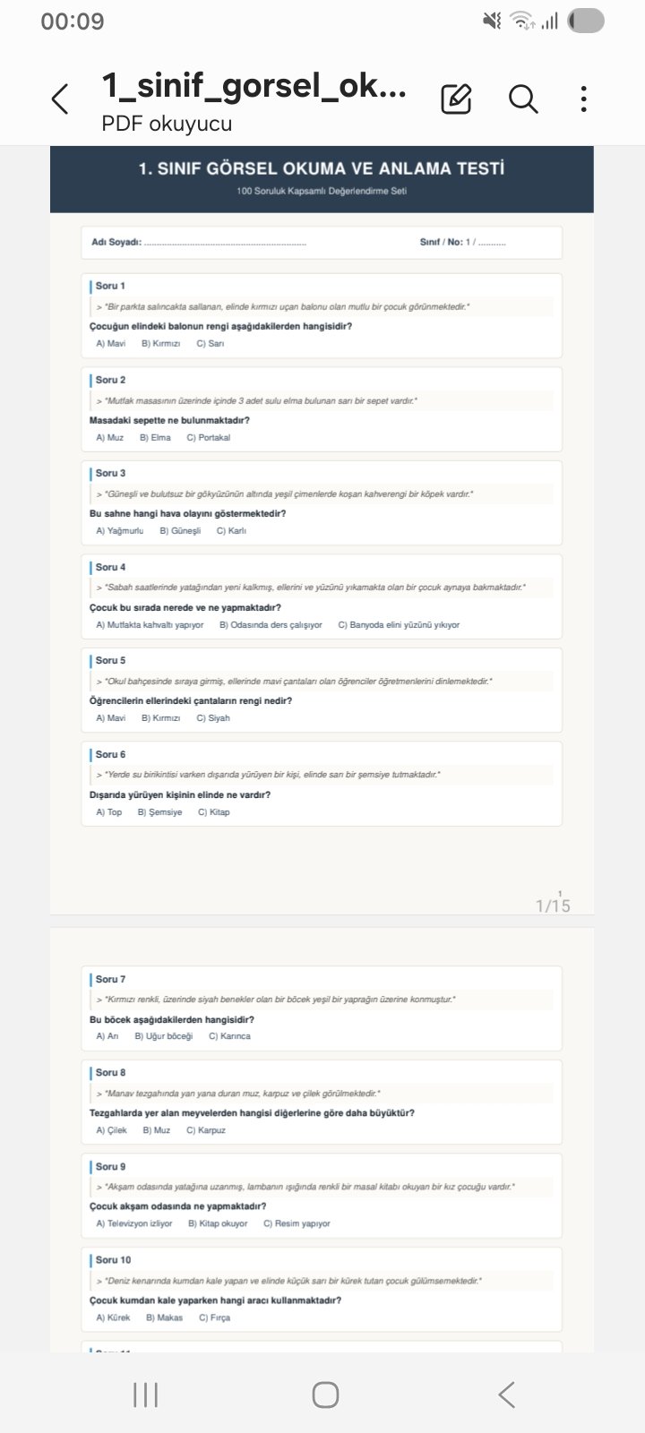 1.Sınıf Betimleyici Paragraf-Görsel Okuma Testi