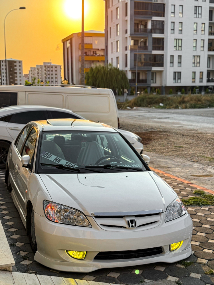 Limon Sarı H11 (sis)