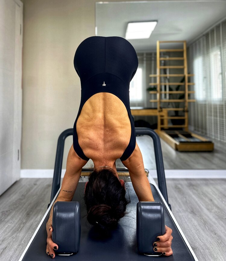Plank Modifikasyonları