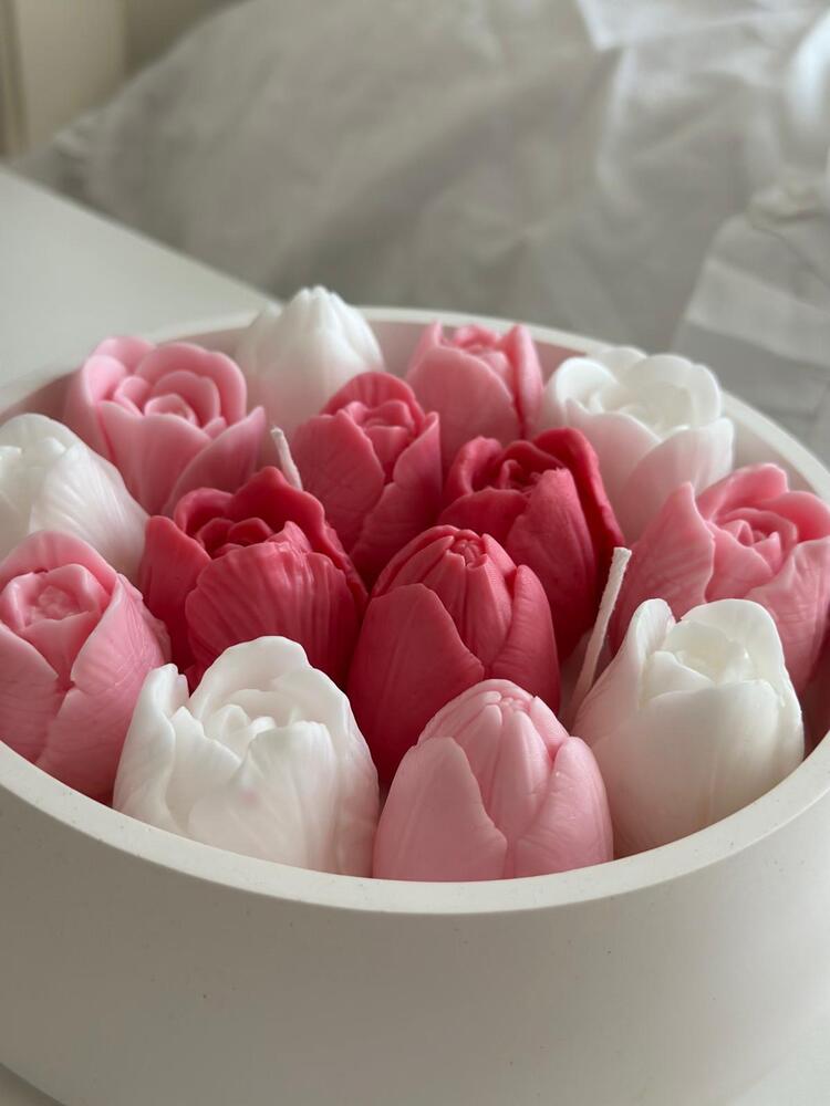 Tulip Garden - Pembe Lale Bahçesi