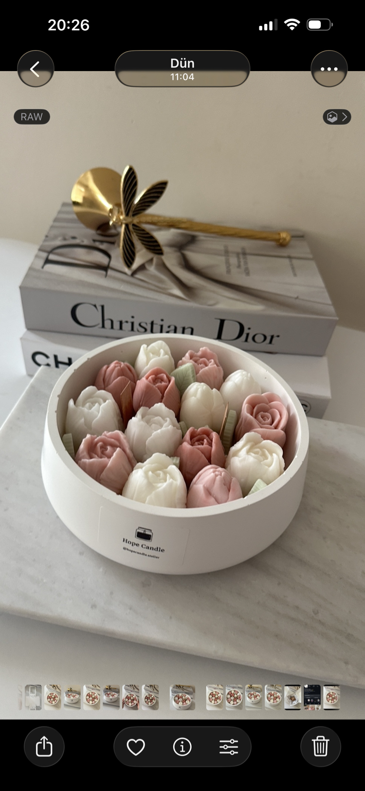 Tulip Garden - Soft Pembe