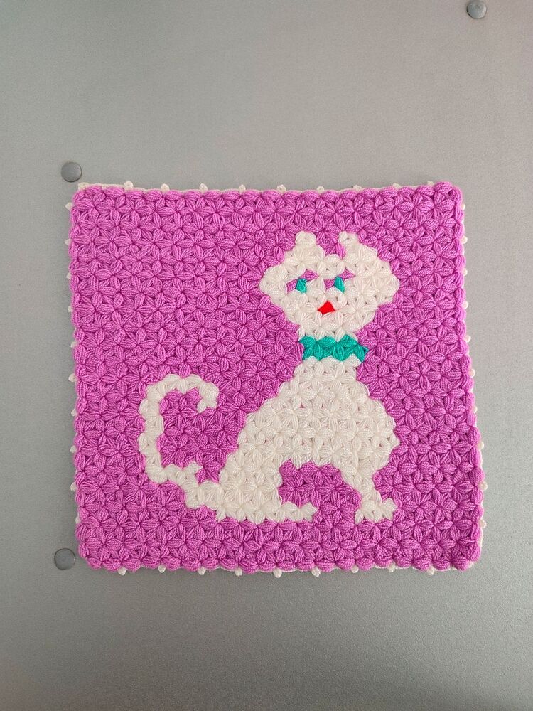 Kedi Modelli Lif