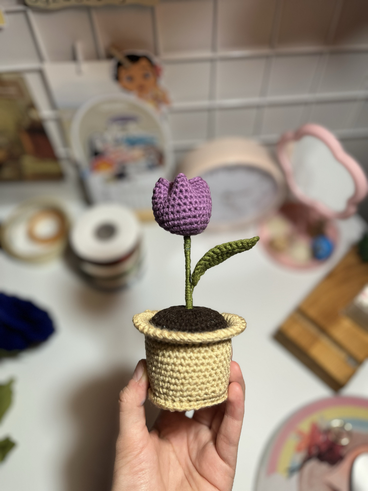 Saksı Koleksiyonu : Mor Lale