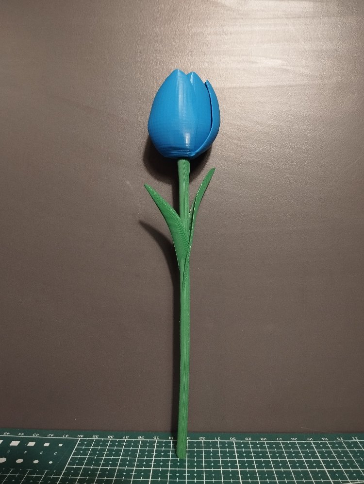 Tekli | Dekoratif 3D Lale