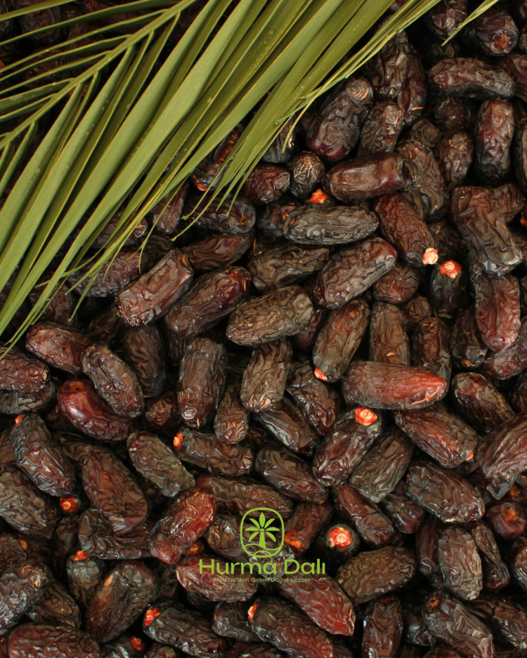 Safavi B kalite