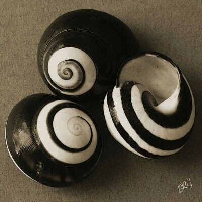 Yin Yoga Grup Dersi - Online 1 Ay