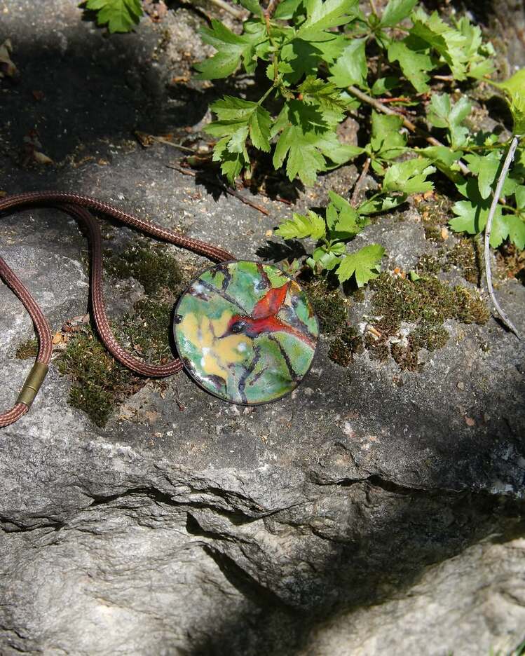 Spring Visitor