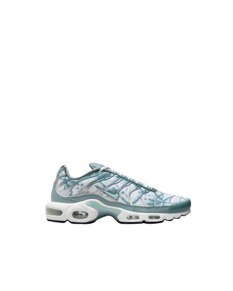 Nike Air Max Plus Tn “Waterway”