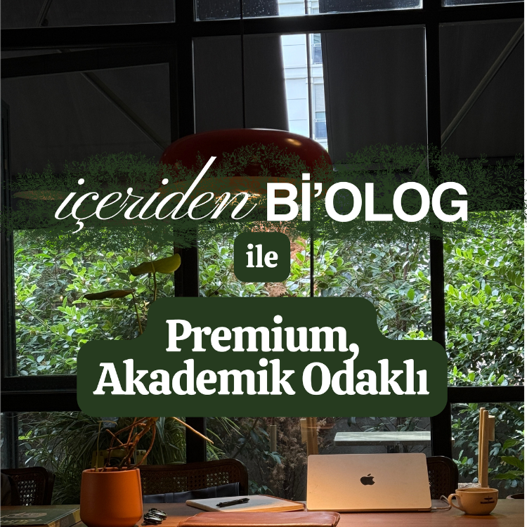 Mentorluk: Premium, Akademik Odaklı