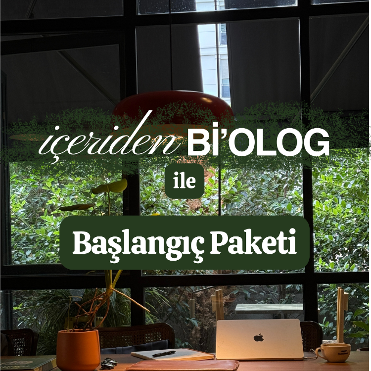 Mentorluk: Başlangıç Paketi