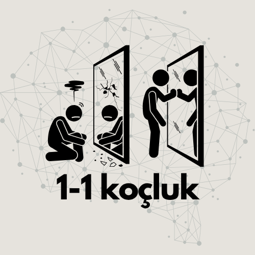 1:1 Koçluk: Kendinin CEO’su Olma Programı