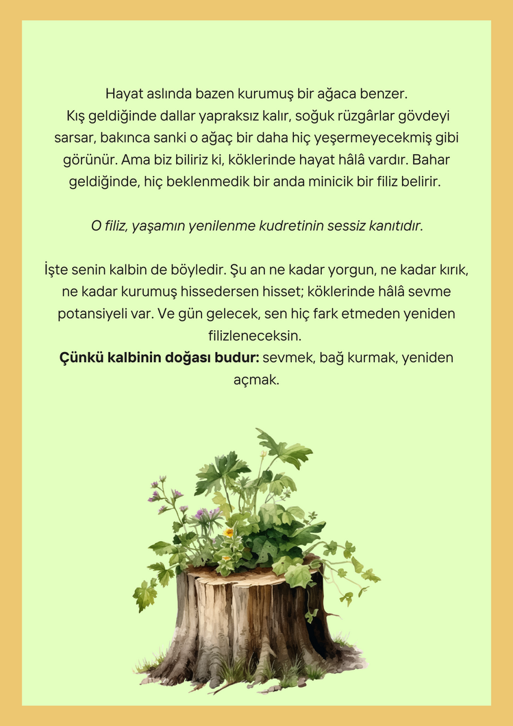Yeniden Sevmeyi Öğrenmek